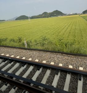 深夜に更新致します【気まぐれ日記】